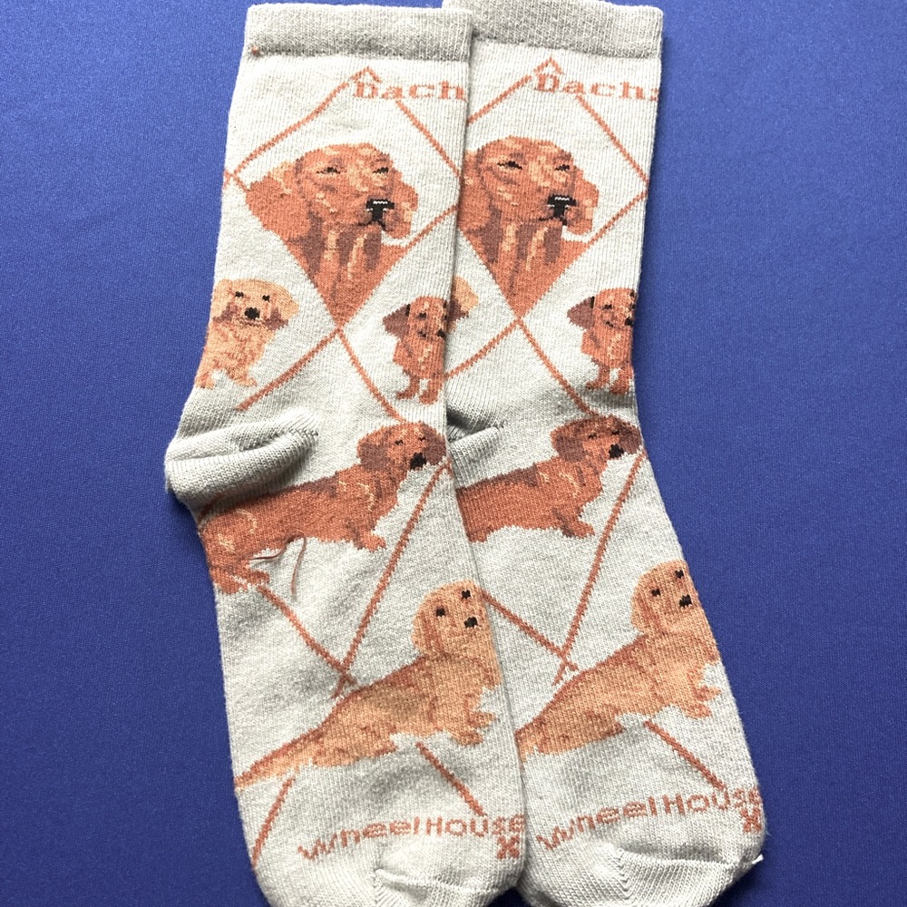 Wheelhouse Designs Dachshund Socks